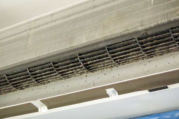 Best Duct Cleaning for Homes  in Rutland, VT